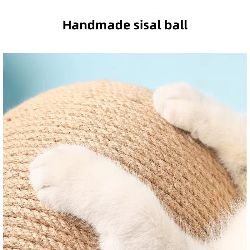 ShopifyTitleResponseModel